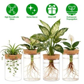 4Pack Glass Propagation Stations For Plants Indoor Glass Planters Hydroponic Plant Vases 2 Large 2 Small for Plant Cuttings Flower Arrangements